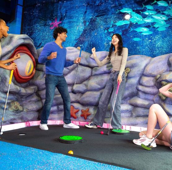 SkipARRR's Pirate Putt