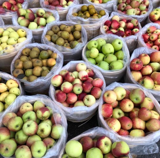 Niagara Falls Farmers' Market 2024